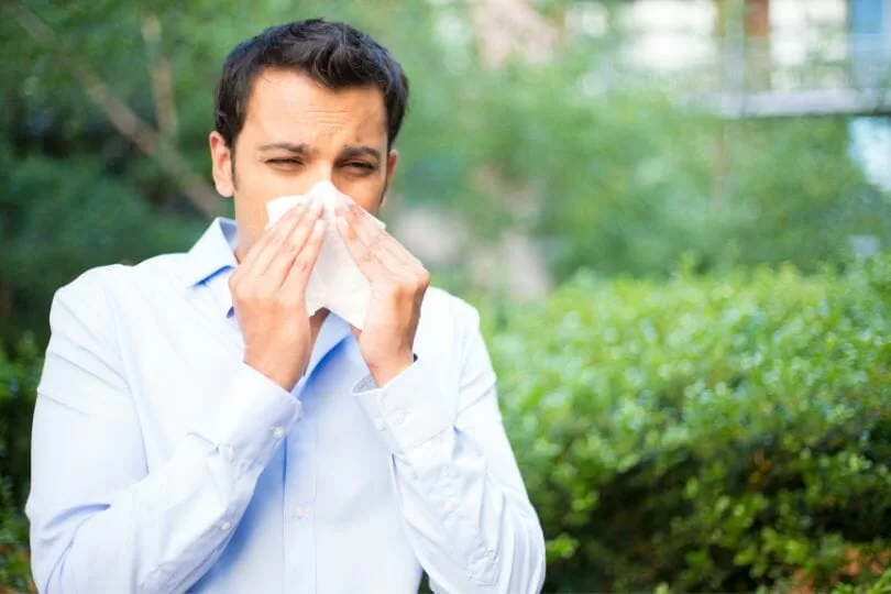 Herbs for Sinus Infections
