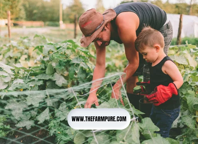 How to Start Farming | Short Guide to Start Farming Business