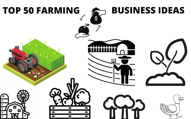 50 Profitable Farm based Business ideas