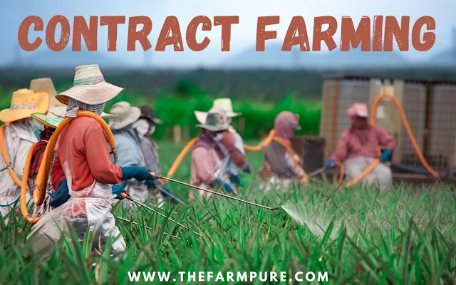 Overview on Contract Farming