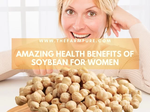 Amazing Health Benefits of Soybean For Women