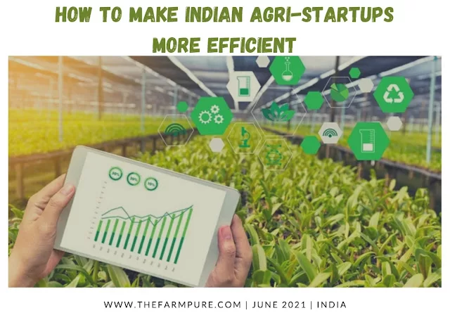 How To Make Indian Agri-Startups More Efficient