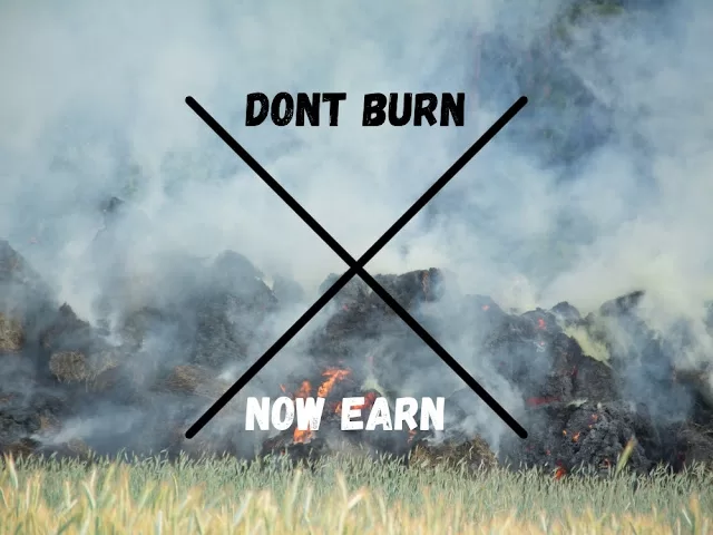 Don't burn the paddy stubble; now earn from it