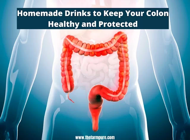 Homemade Drinks to Keep Your Colon Healthy and Protected