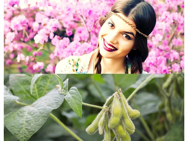 Amazing Health Benefits of Soybean For Women