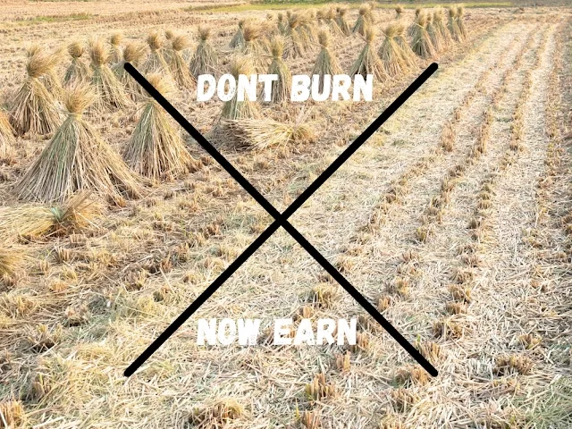 Don't burn the paddy stubble; now earn from it