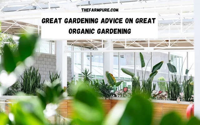 Great Gardening Advice On Great Organic Gardening