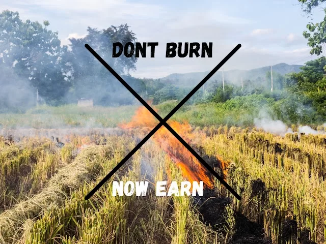 Don't burn the paddy stubble; now earn from it