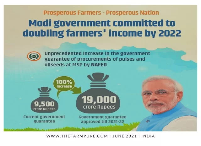 How To Make Indian Agri-Startups More Efficient