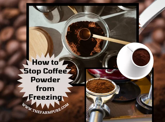 How to Stop Coffee Powder from Freezing