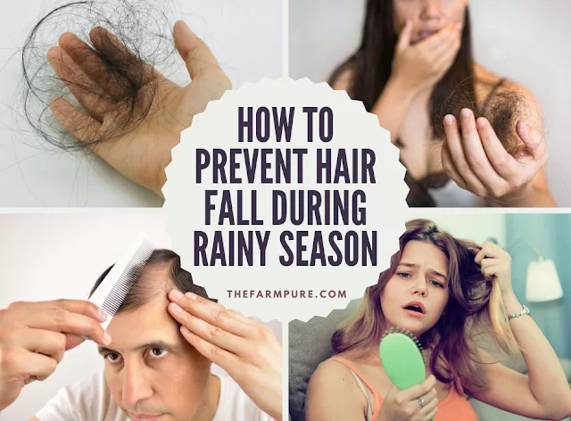 How to Prevent Hair Fall During Rainy Season