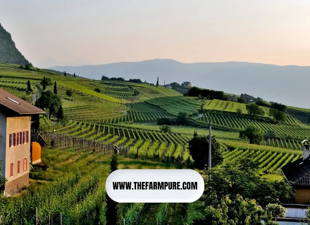 How to Start Farming | Short Guide to Start Farming Business