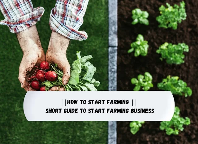 How to Start Farming | Short Guide to Start Farming Business