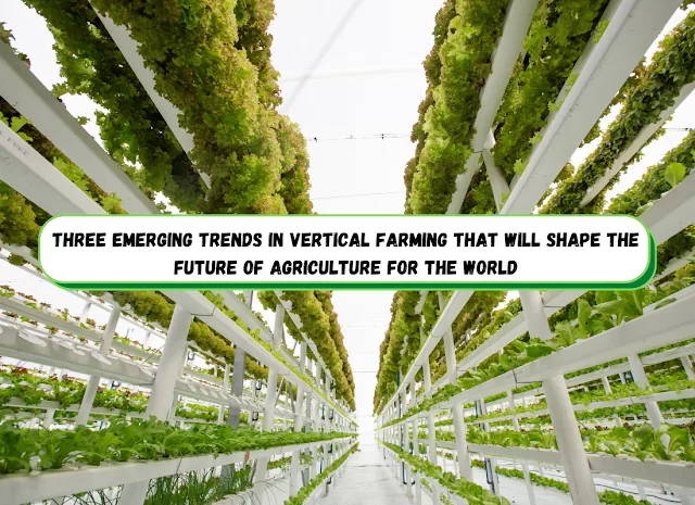 Three Emerging Trends In Vertical Farming That Will Shape The Future Of Agriculture For The World