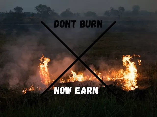 Don't burn the paddy stubble; now earn from it