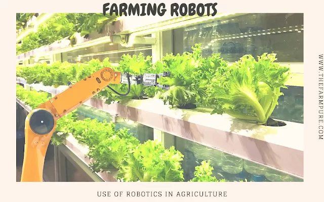 Utilization of Robotic Techniques in Agriculture