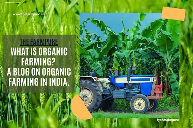 What is Organic Farming? A blog on organic farming in India.