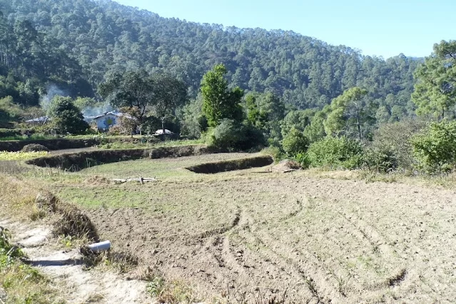 What is Organic Farming? A Blog on Organic Farming in India