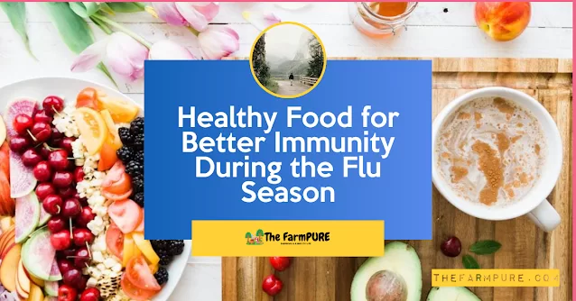 Healthy Food for Better Immunity During the Flu Season