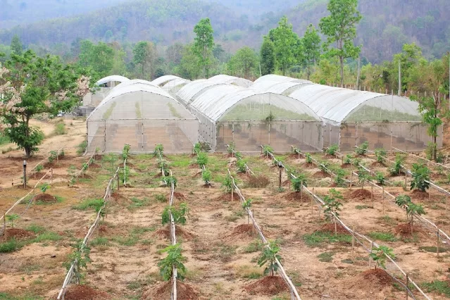 What is Organic Farming? A Blog on Organic Farming in India