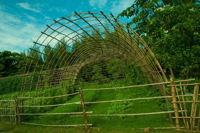 What is Organic Farming? A Blog on Organic Farming in India