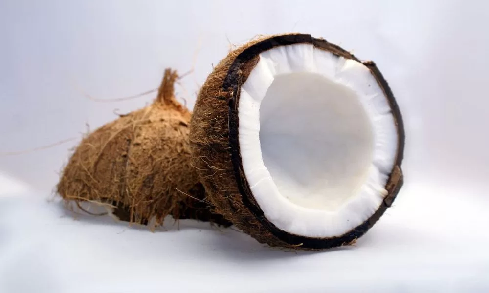 coconut