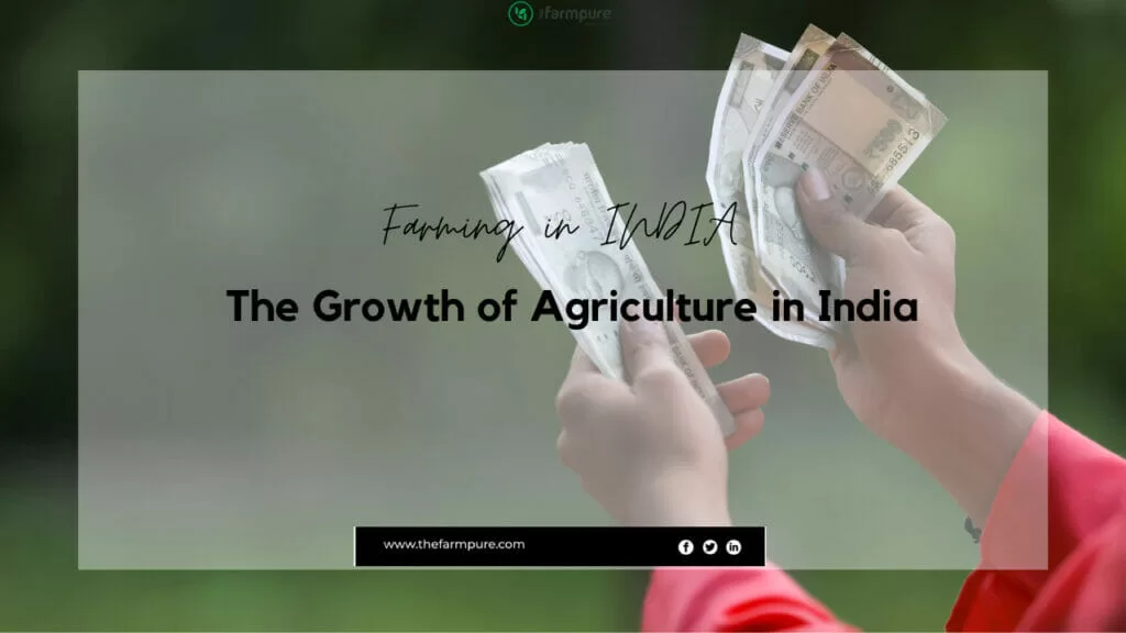 growth of agriculture in India