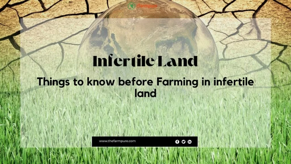 Farming In Infertile Land