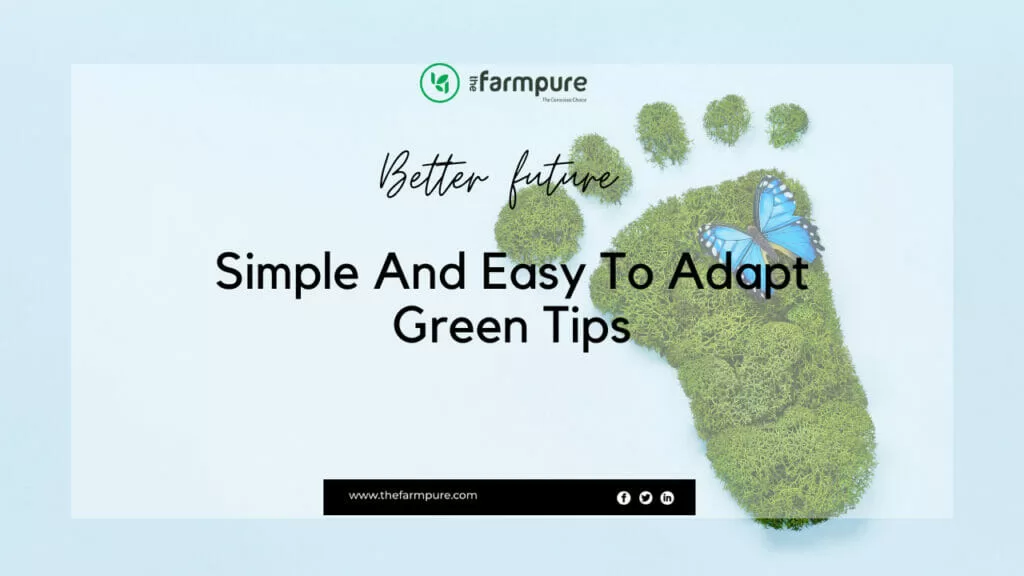 Simple And Easy To Adapt Green Tips