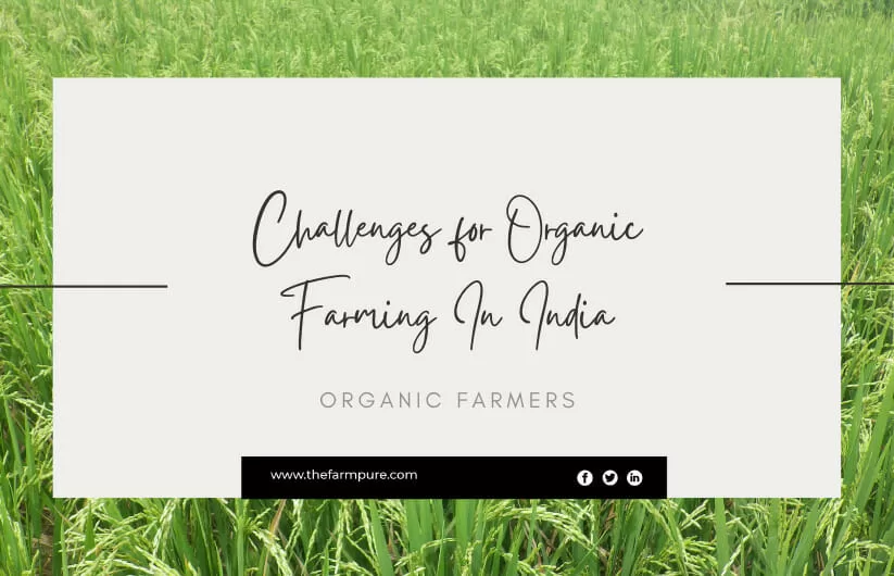 Challenges for Organic Farming In India