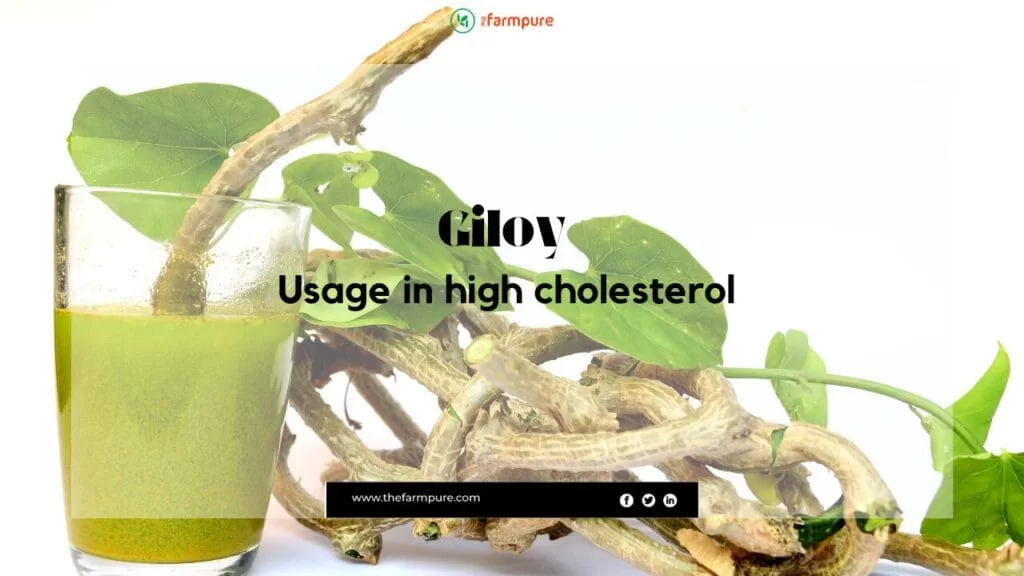 giloy usage in high cholesterol