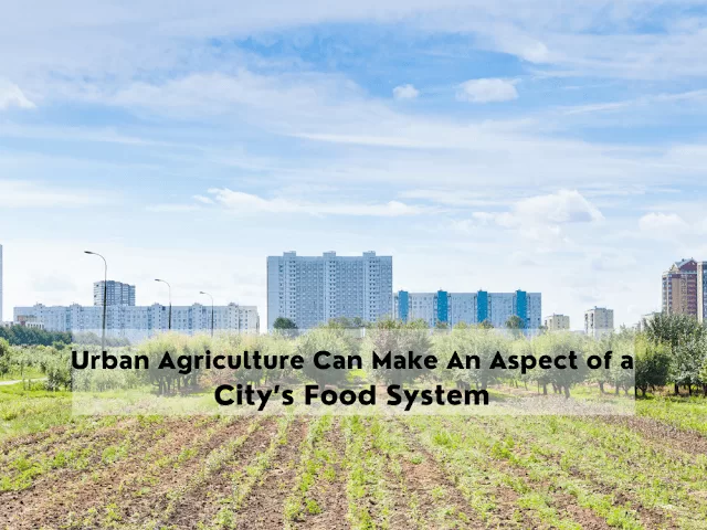 urban Agriculture