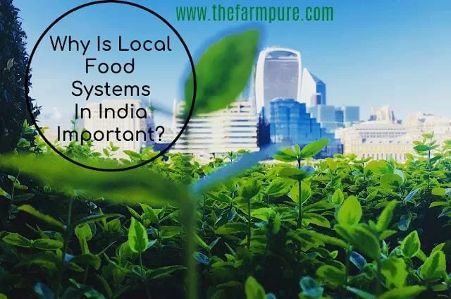 Importance of local food system in India