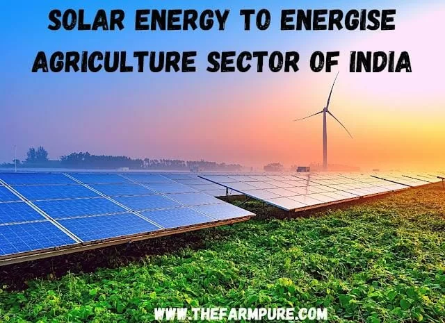 Solar2BEnergy2BTo2BEnergise2BAgriculture2BSector2Bof2BIndia