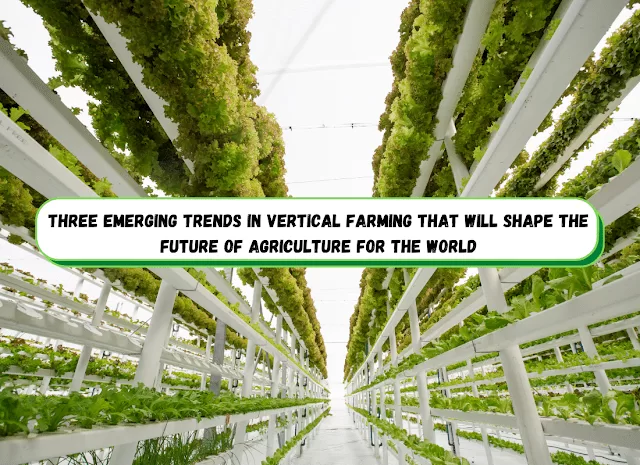 Three2BEmerging2BTrends2BIn2BVertical2BFarming2BThat2BWill2BShape2BThe2BFuture2BOf2BAgriculture2BFor2BThe2BWorld