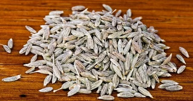 cumin seed