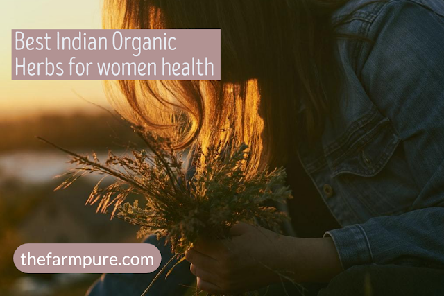 Best Indian Organic Herbs for women health 39
