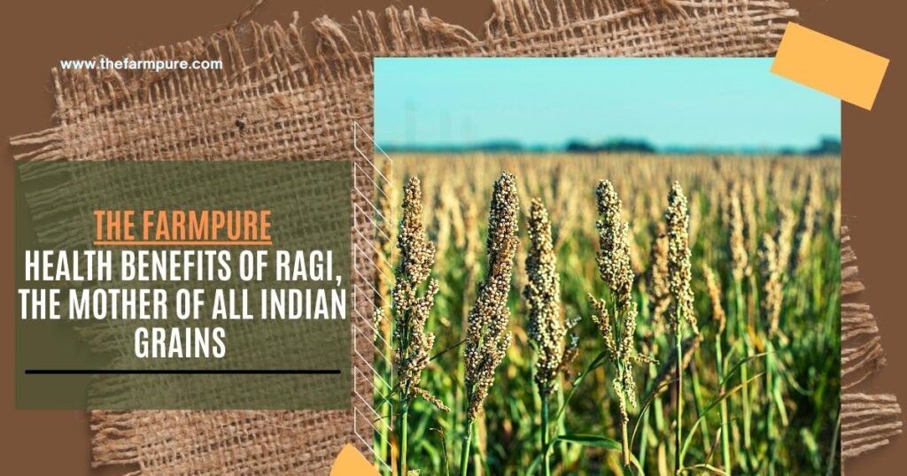 Health Benefits of Ragi