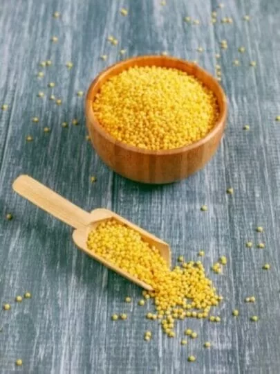 Millet-Uses, Nutritional Benefits and Health Benefits