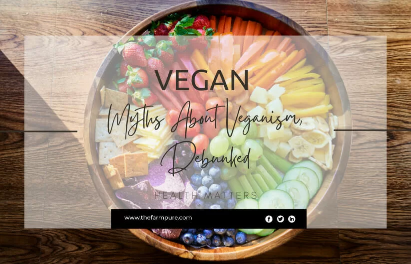 Myths About Veganism