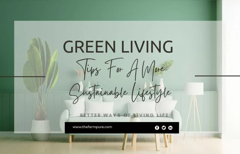 Green Living: Tips For A More Sustainable Lifestyle