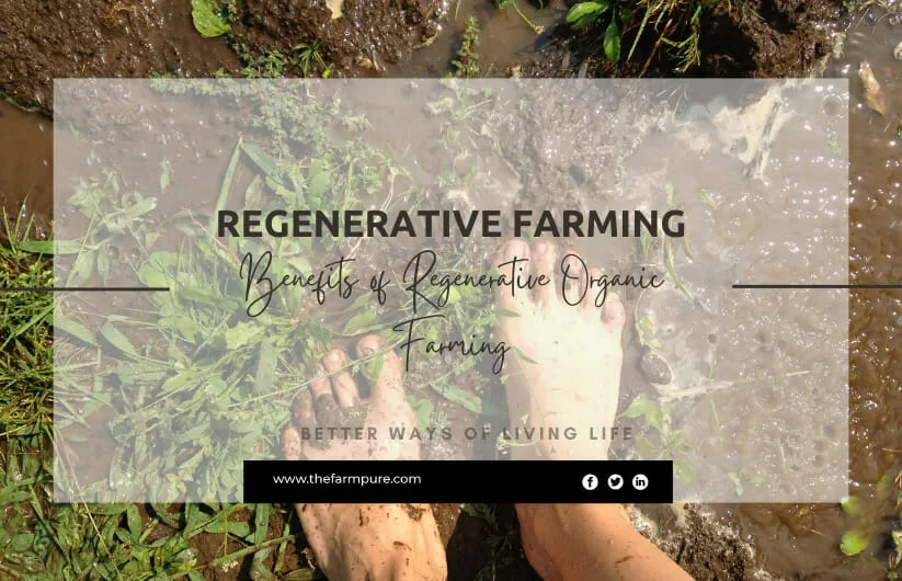 regenerative organic farming