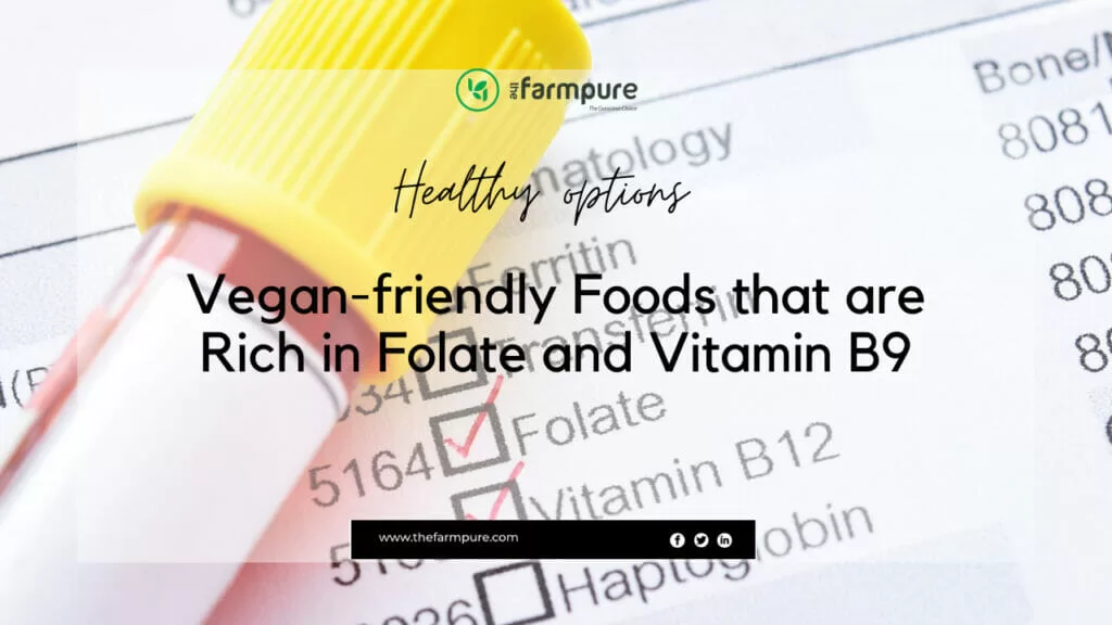 Vegan-friendly Foods that are Rich in Folate and Vitamin B