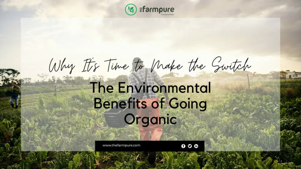 Why It's Time to Make the Switch: The Environmental Benefits of Going Organic