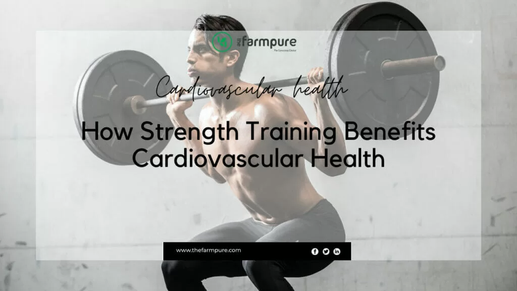 The Science Behind How Strength Training Benefits Cardiovascular Health