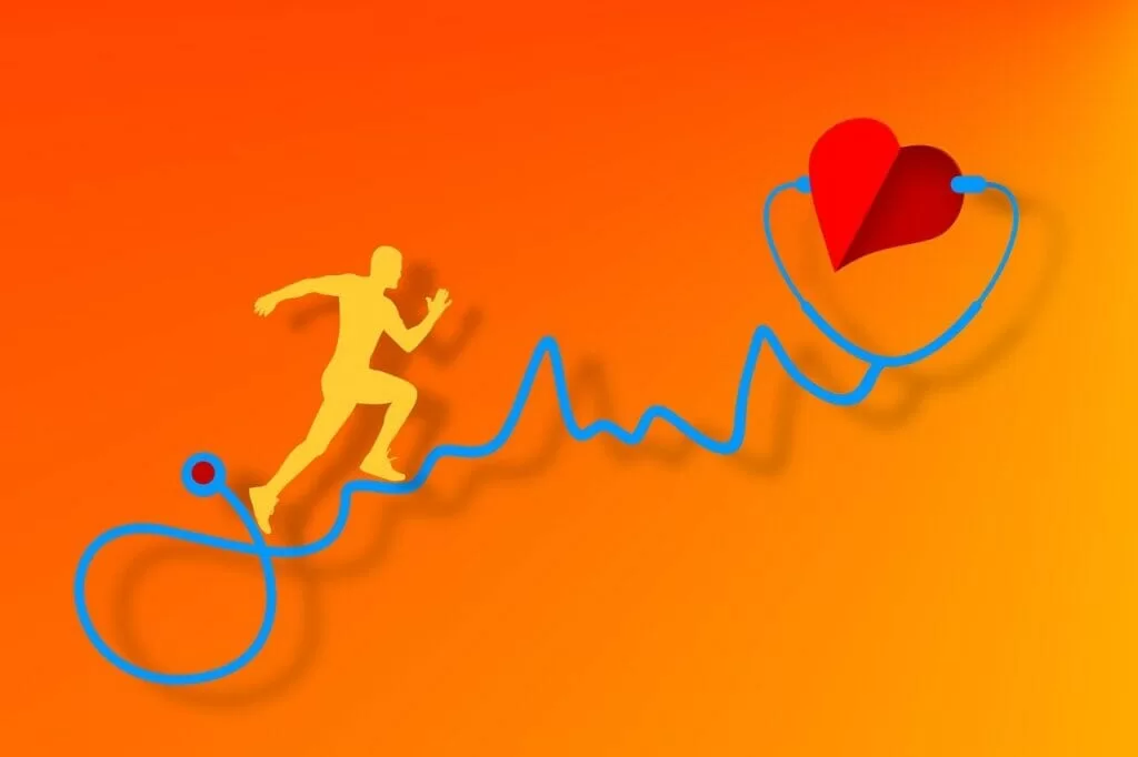 heart, curve, health-7757250.jpg