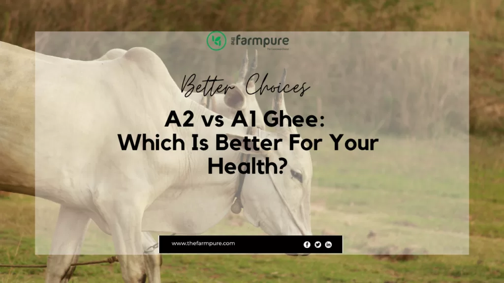a2 vs a1 ghee