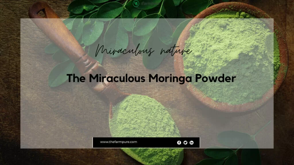 Moringa Powder benefits