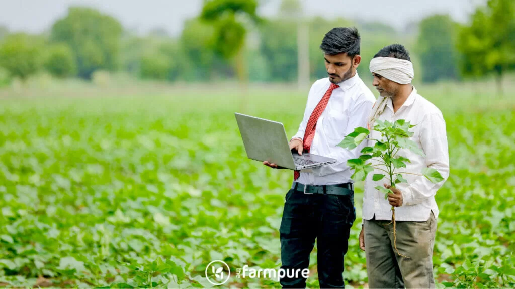 growth of agriculture in India
