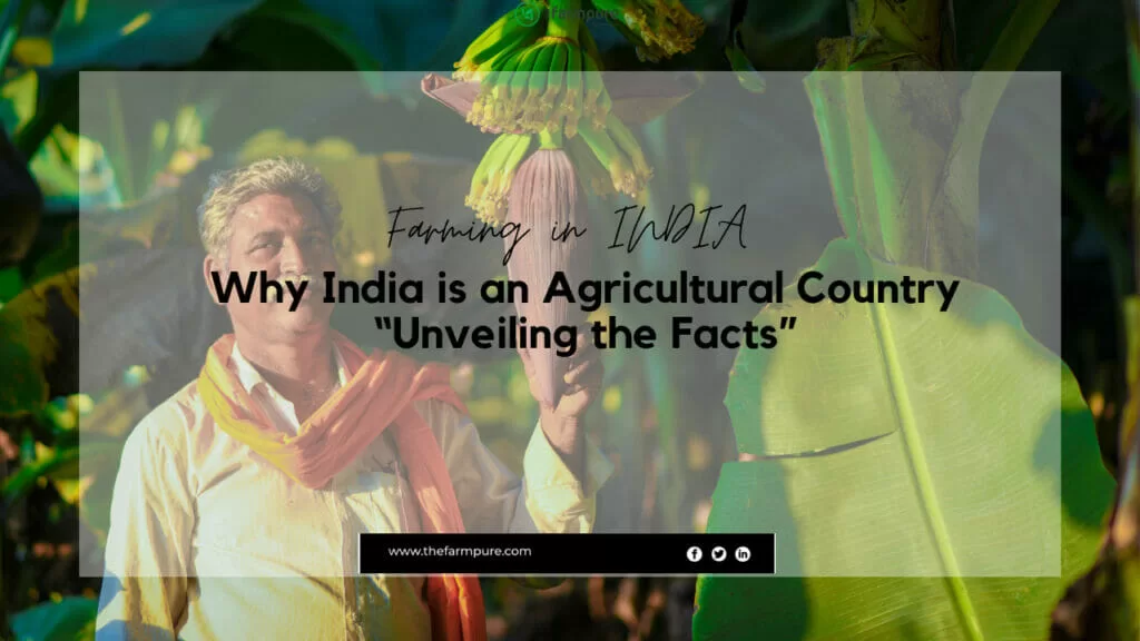 why is indian an agricultural country